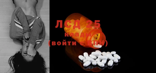 PSILOCYBIN Сосновка