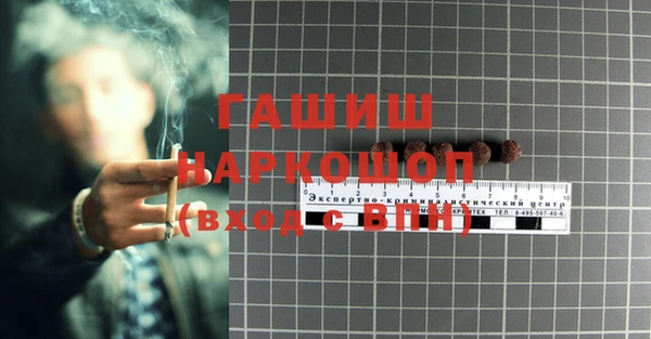 PSILOCYBIN Сосновка