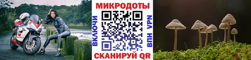 Псилоцибиновые грибы GOLDEN TEACHER  Новохопёрск 
